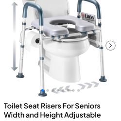 Lifted Toilet Seat And Rail 