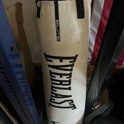 Everlast Elite heavy bag