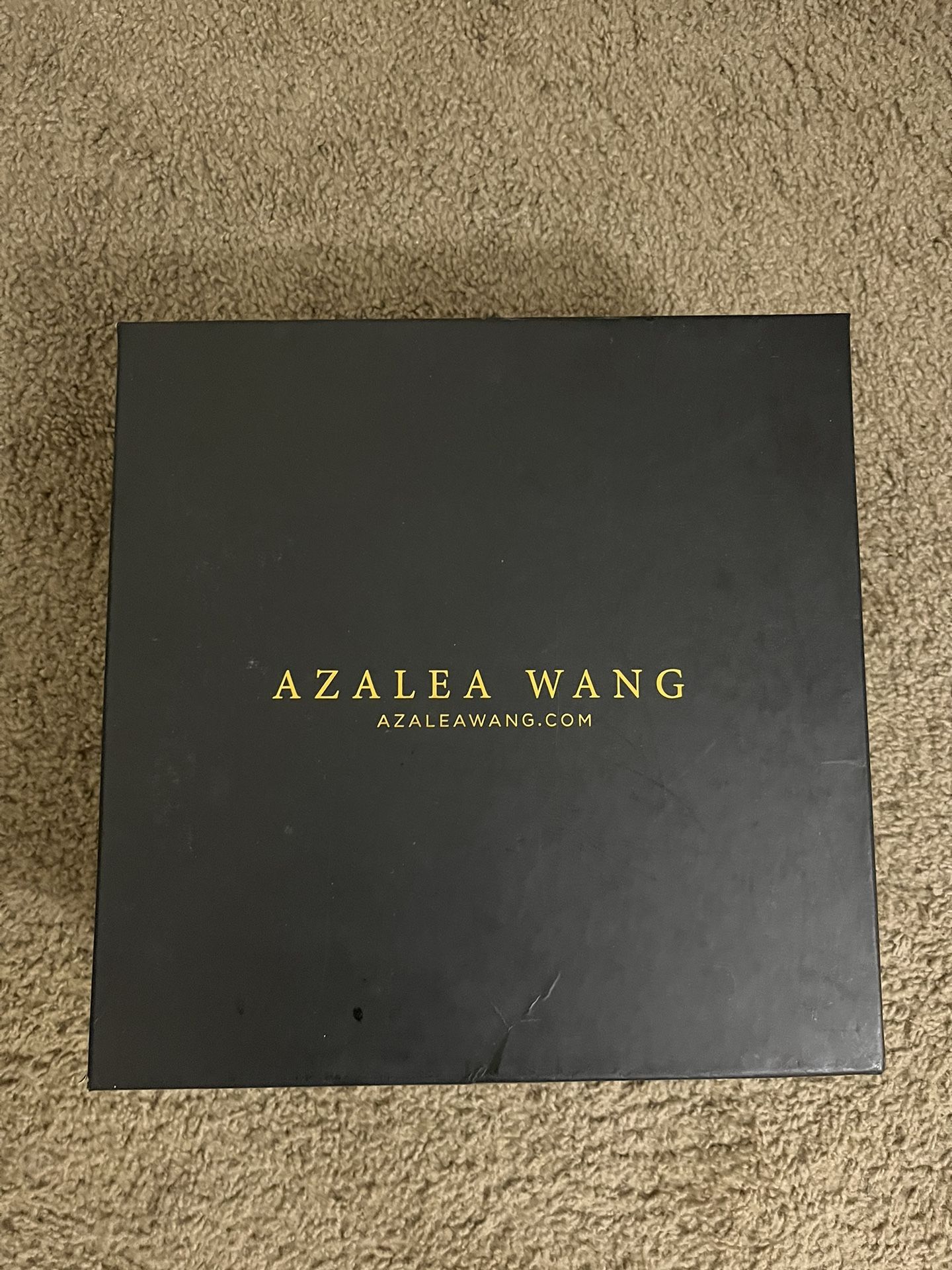 Azalea Wang Boots