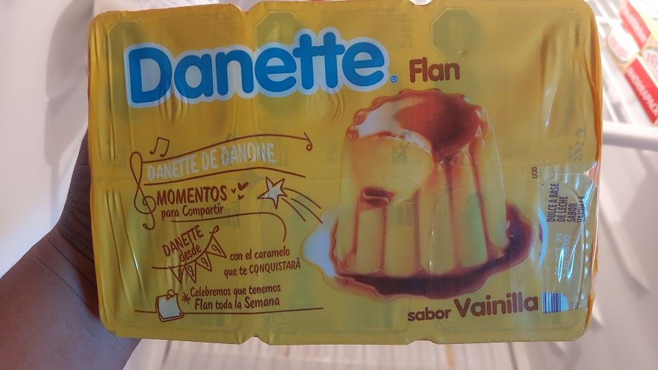Danette Flan 