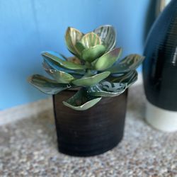 Artificial plant home Decor 