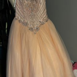 Quinceañera or Sweet 16 Ball Gown