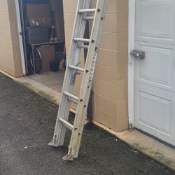 Ladder