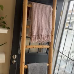 Furniture Ladder