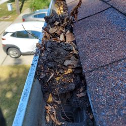 Gutter Service 