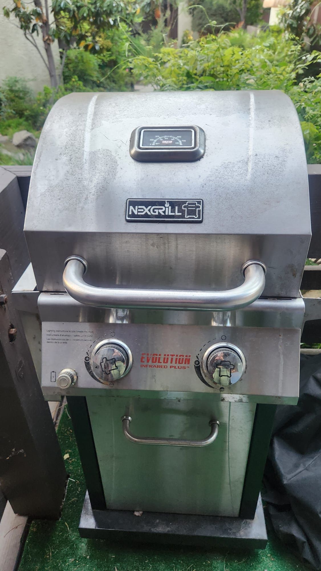 Bbq