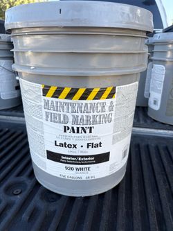 5 gallon white paint