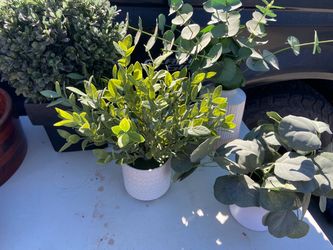 $4 Faux plants