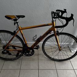 FV Bike . Frame In Aluminum. Rim 700X25 . Good Tires . Good Condition. 