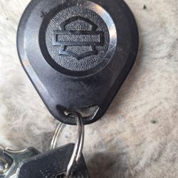 Harley DAVIDSON  K-FOB
