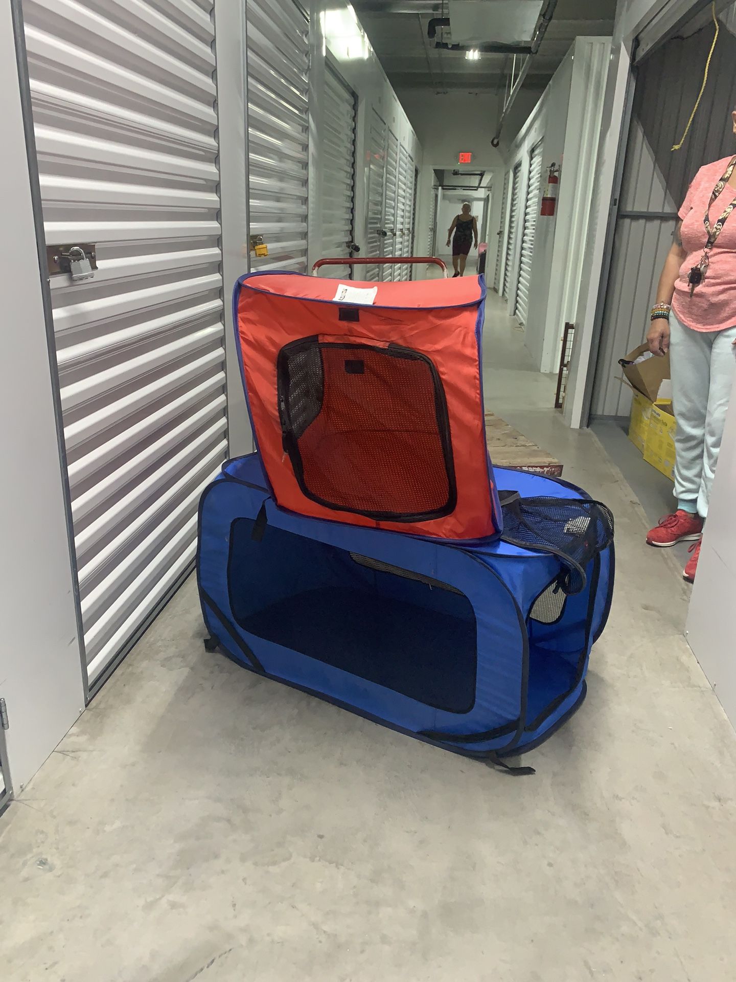 Dog items