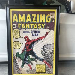 Spider-Man Wall Art