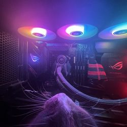 4080 PNY