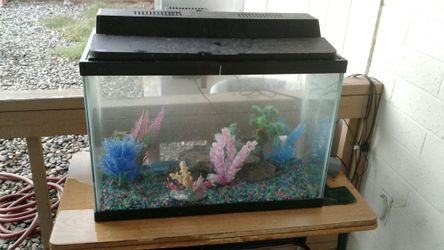 Complete Fish tank