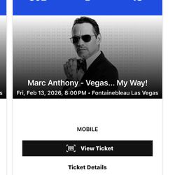 Marc Anthony Concert Las Vegas 2/13/26