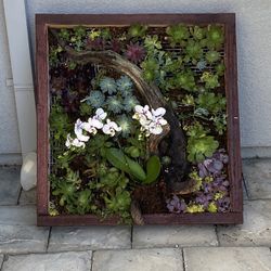  Succulents Wall Art