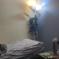 Lamp Light Room Well 35! Dollars Comes With Light Bulbs As Well