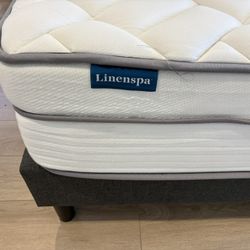 Queen Bed & Mattress 