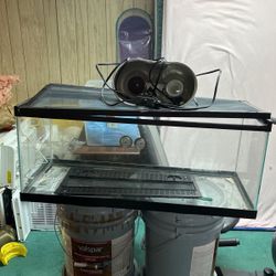 Reptile Tank With Heat Lamp