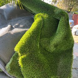 Turf remains