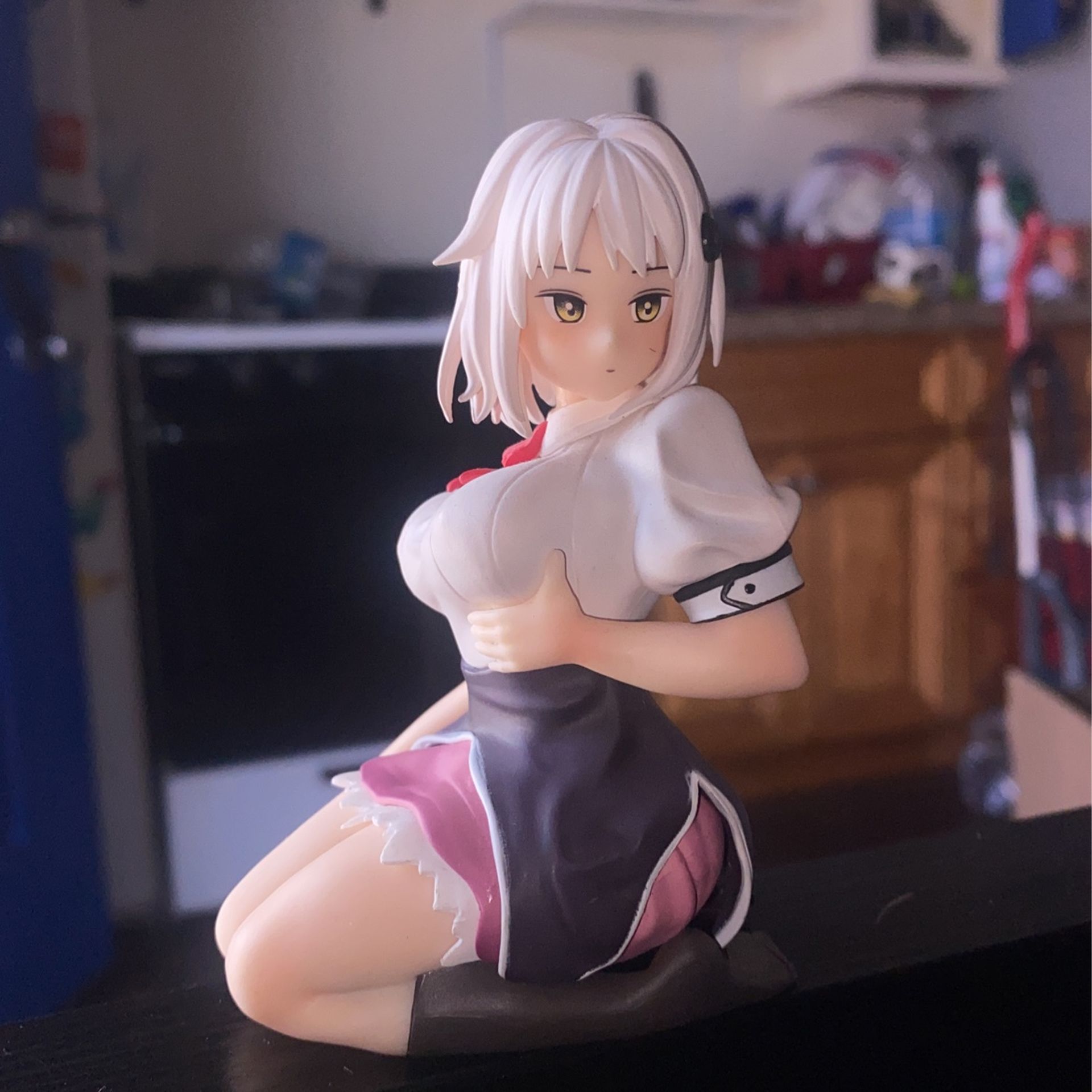 Koneko High School DxD