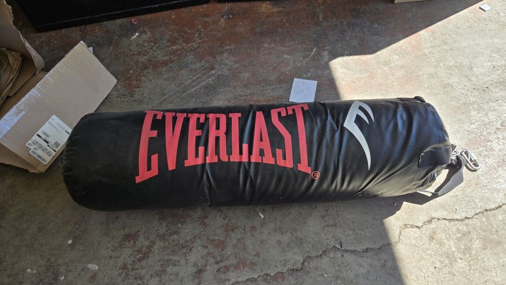 Everlast Punching Bag