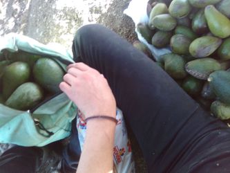 🥑🥑🥑AVOCADOS  2 for $1.00 🥑🥑🥑