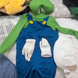 3T Luigi Costume 