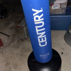 Punching Bag