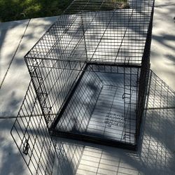 Dog Kettle 30X42