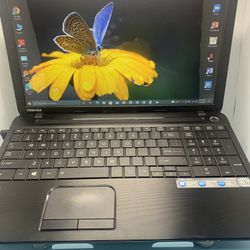 ..TOSHIBA SATÉLITE . .C55D-A….250 GB GB…..8.0 RAM . READY FOR CLASSES ON LINE OR WORK FROM HOME