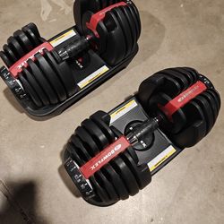 Bowflex selectech 552 dumbbells