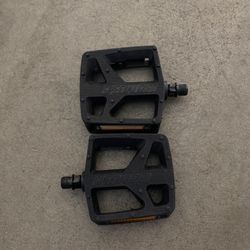 Stock Specialized pedals 