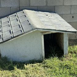 Dog House 