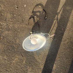 Light