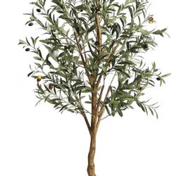 Stunning Faux 6' Olive Tree with Curved Wood Trunk and Lifelike Leaves and Fruits. In Black Planter