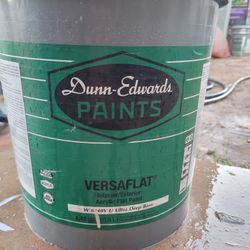 Versaflat Paint 