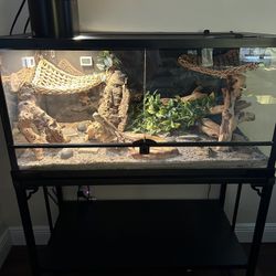 40 Gallon Bearded Dragon Tank Everything Included
