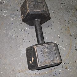 45 Lb. Cast Iron Weight