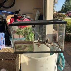 Fish Tank 