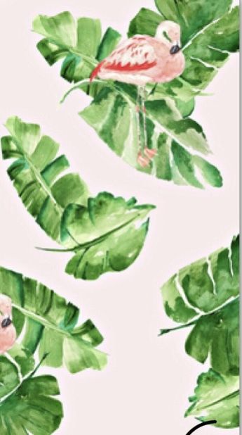 Tropical Flamingo Crib Bedding