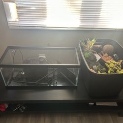 Lizard Tank With Accessories 