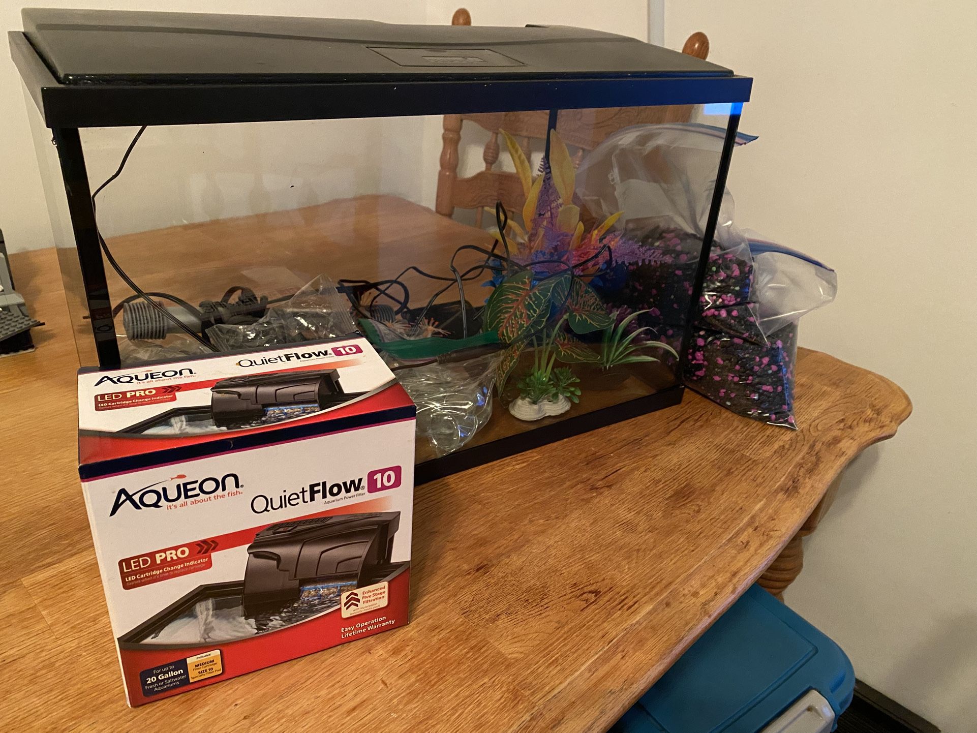 10 Gallon Tank Plus Much More