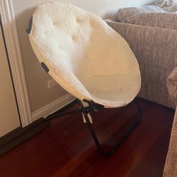 Furry Chair 