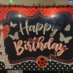 Miraculous Banner and Party decorations