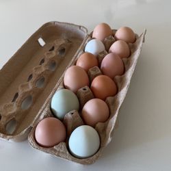 ORGANIC FREE RANGE EGGS