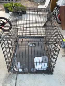Dog kennel dog cage