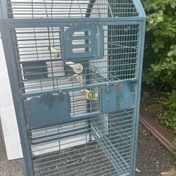 Bird Cage