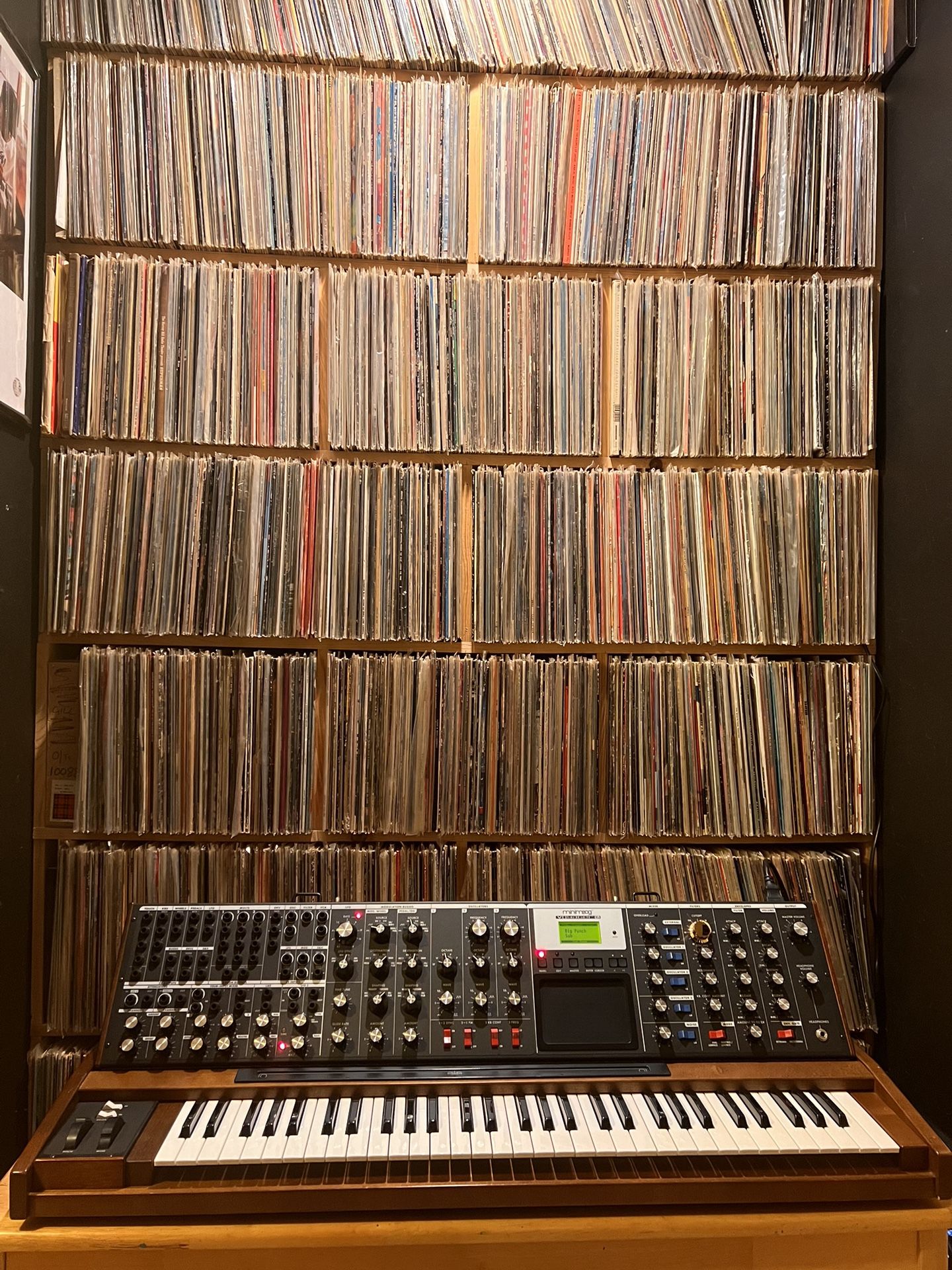 Moog voyager sale xl for sale