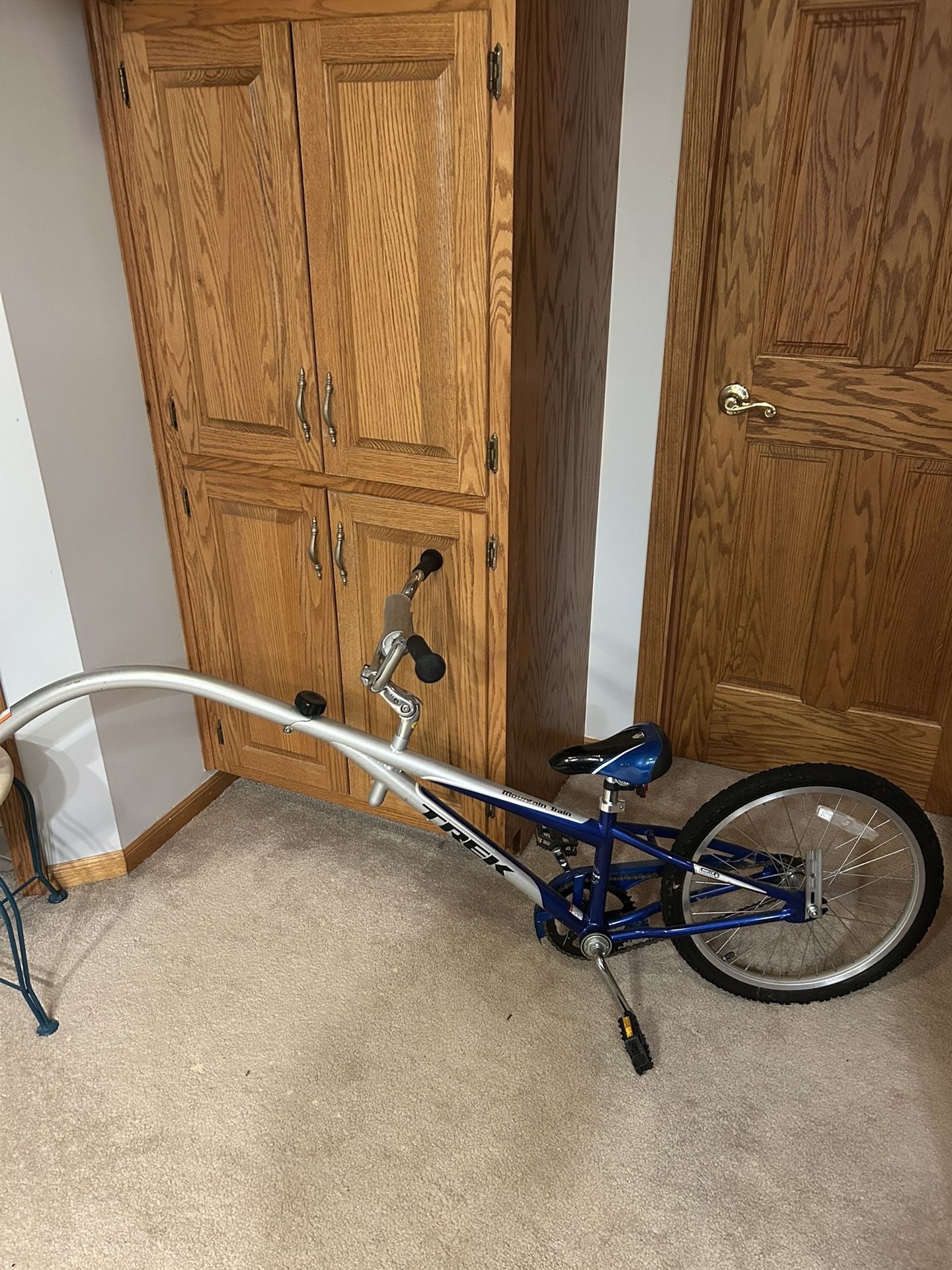 Trek Tag Along 20”